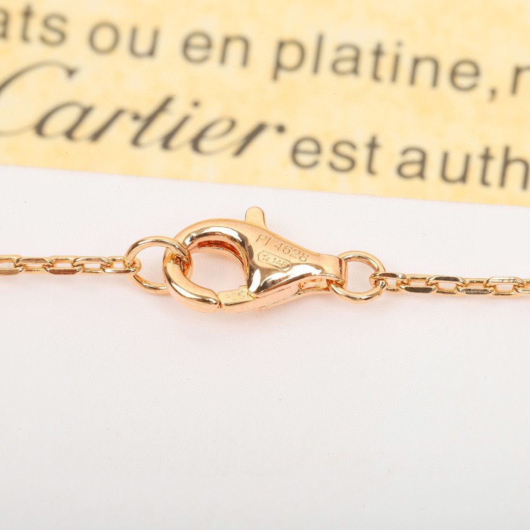 Cartier Necklace CN36255