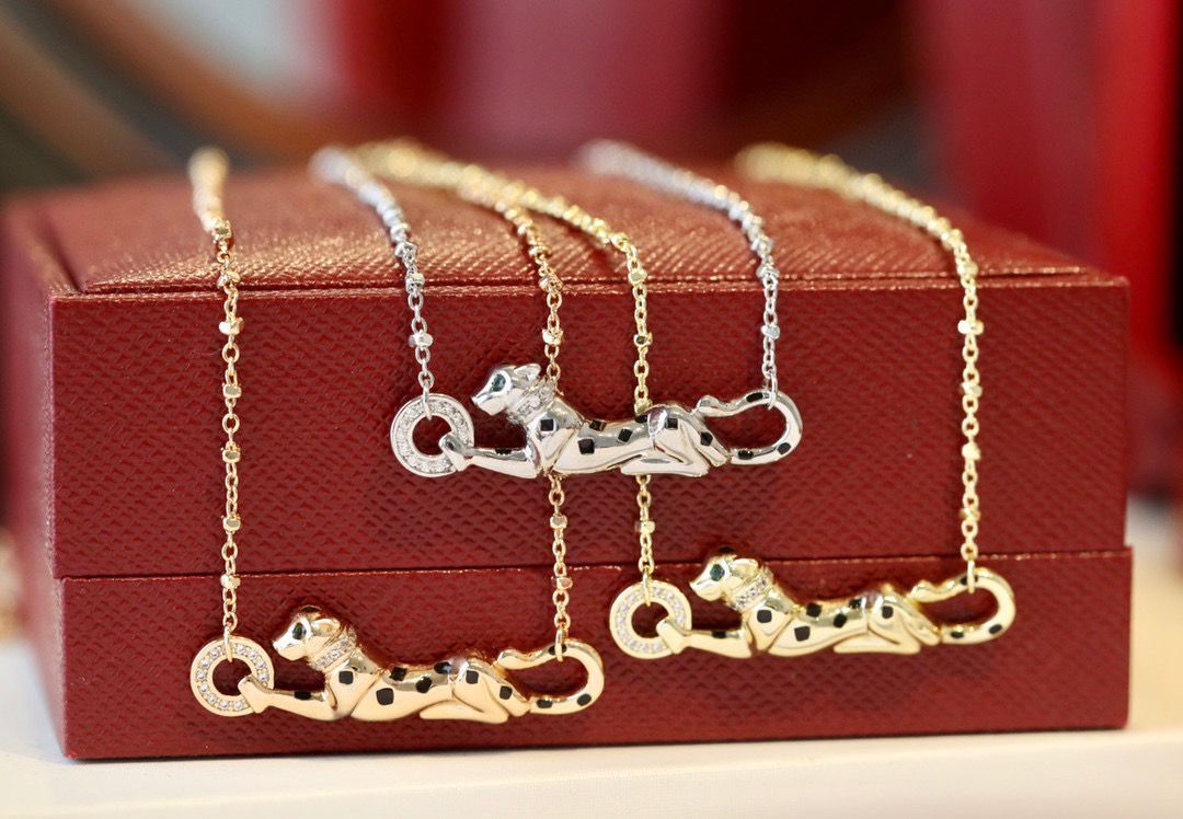 Cartier Necklace CN36257