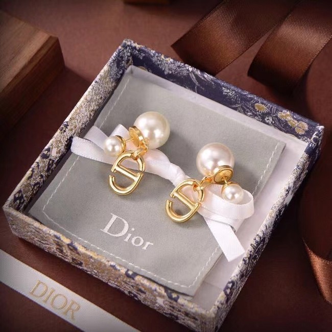 Dior Earrings CE6674