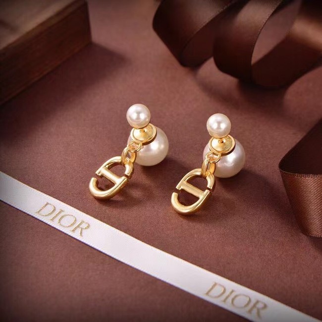 Dior Earrings CE6674