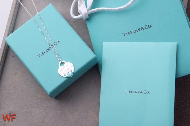 TIFFANY Necklace CE6669