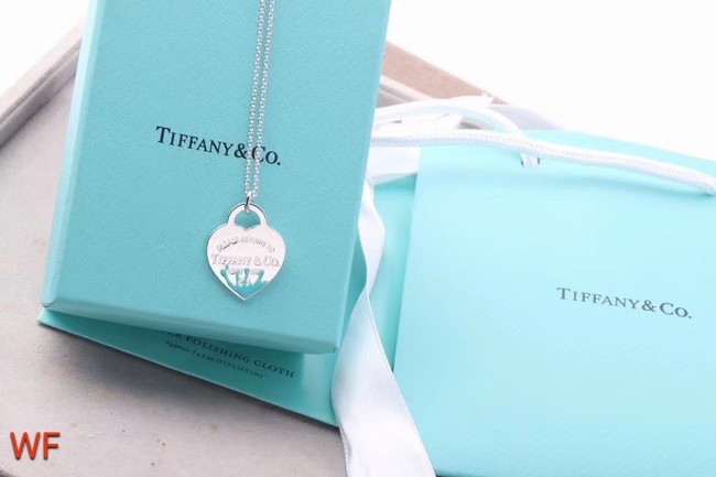 TIFFANY Necklace CE6669