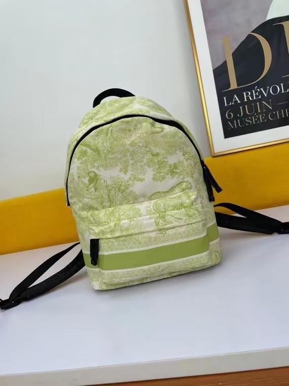DIOR SMALL DIORTRAVEL BACKPACK M6108 green