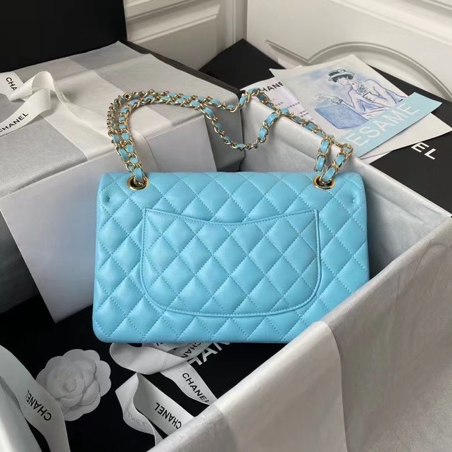 chanel classic handbag Lambskin & gold Metal A01112 light blue