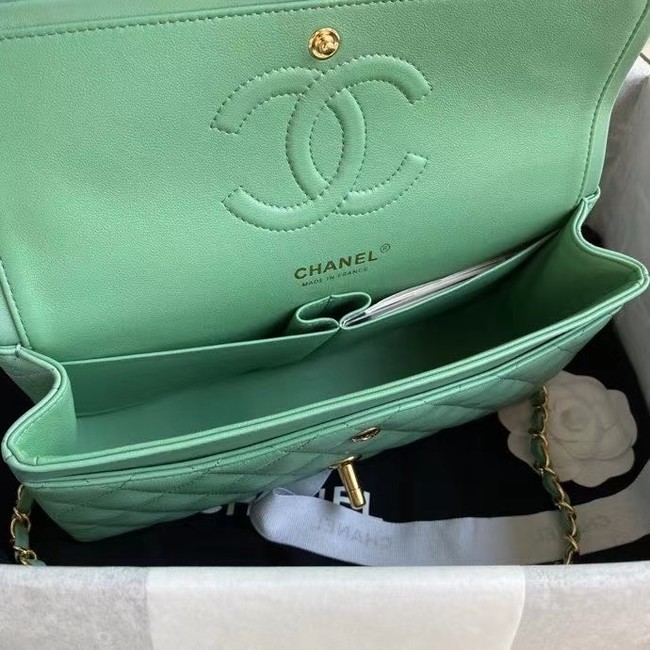 chanel classic handbag Lambskin & gold Metal A01112 light green