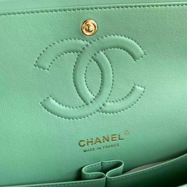 chanel classic handbag Lambskin & gold Metal A01112 light green