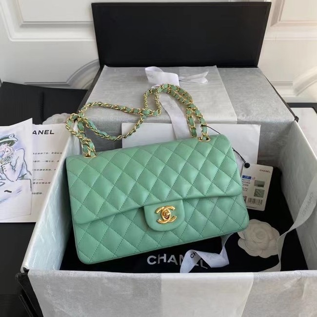 chanel classic handbag Lambskin & gold Metal A01112 light green