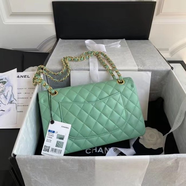 chanel classic handbag Lambskin & gold Metal A01112 light green