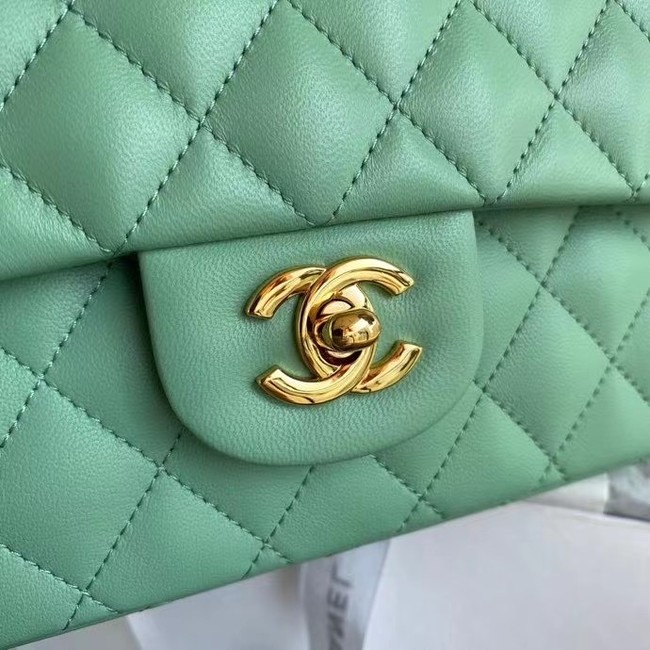 chanel classic handbag Lambskin & gold Metal A01112 light green