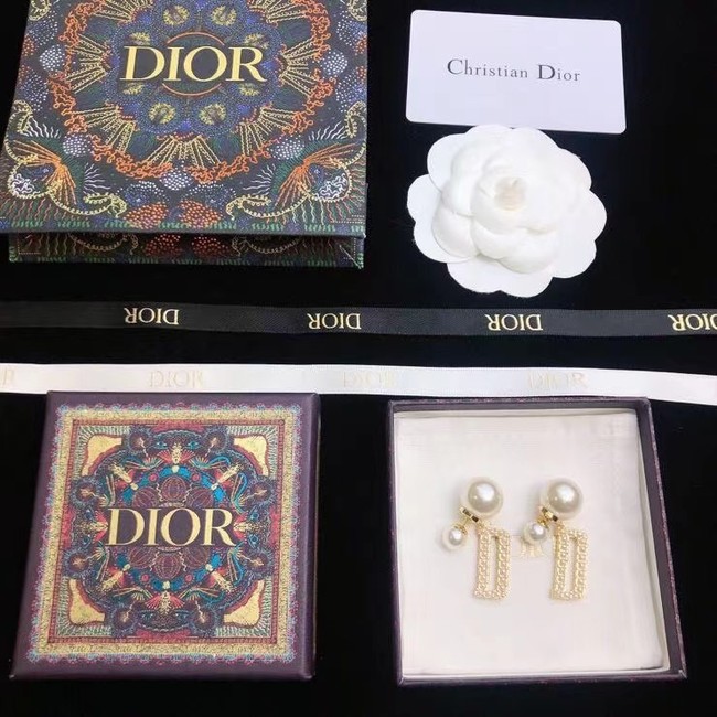 Dior Earrings CE6681