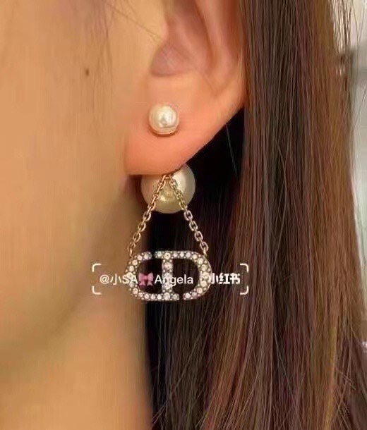 Dior Earrings CE6683