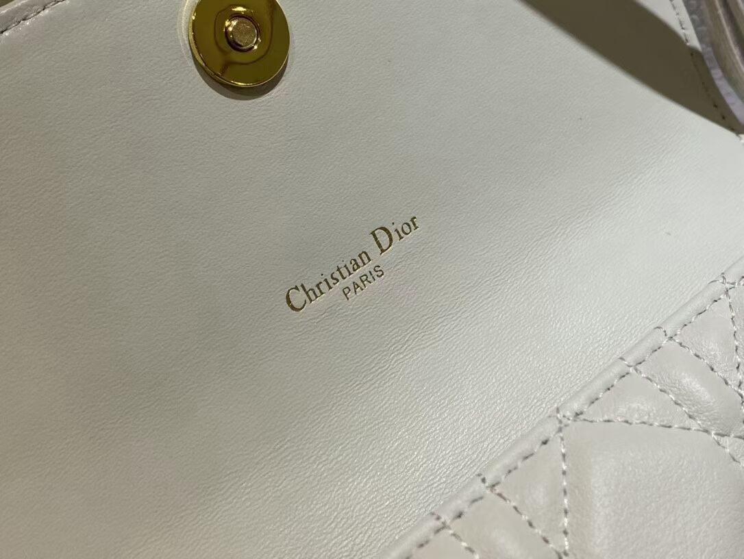 DIOR CARO BELT POUCH WITH CHAIN Latte Supple Cannage Calfskin S5091UW