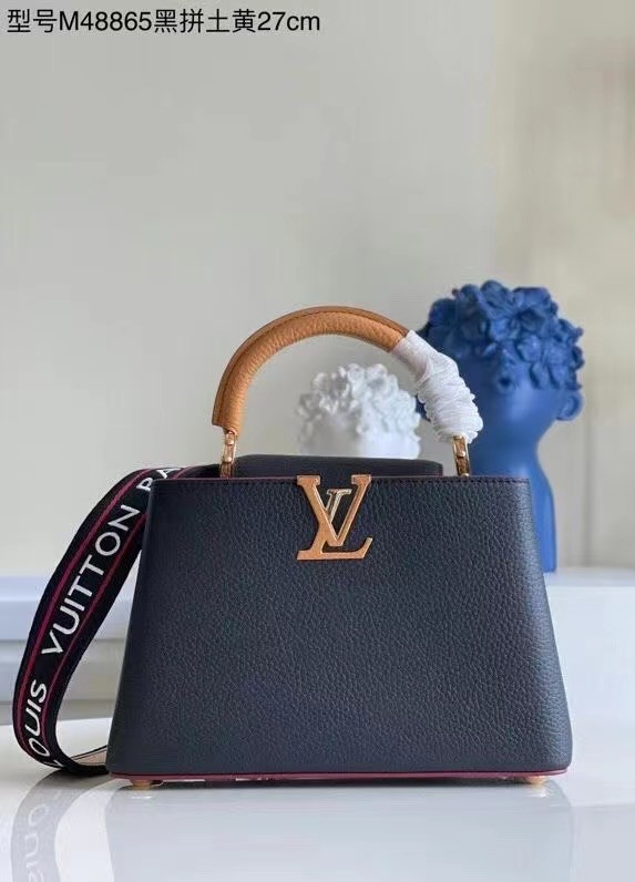 Louis Vuitton CAPUCINES Original Leather PM M48865 black