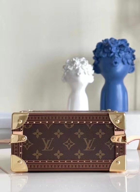 Louis Vuitton Monogram Canvas M45675 brown