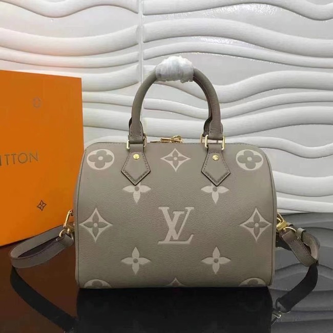 Louis Vuitton SPEEDY BANDOULIERE 25 M58947 grey