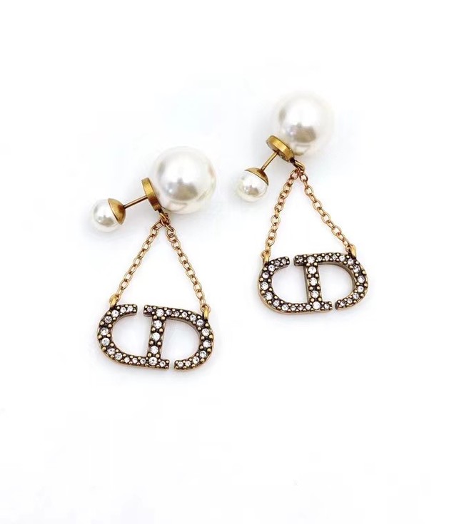 Dior Earrings CE6744