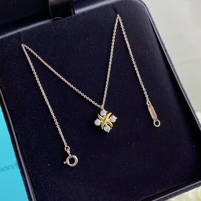 TIFFANY Necklace CE6760