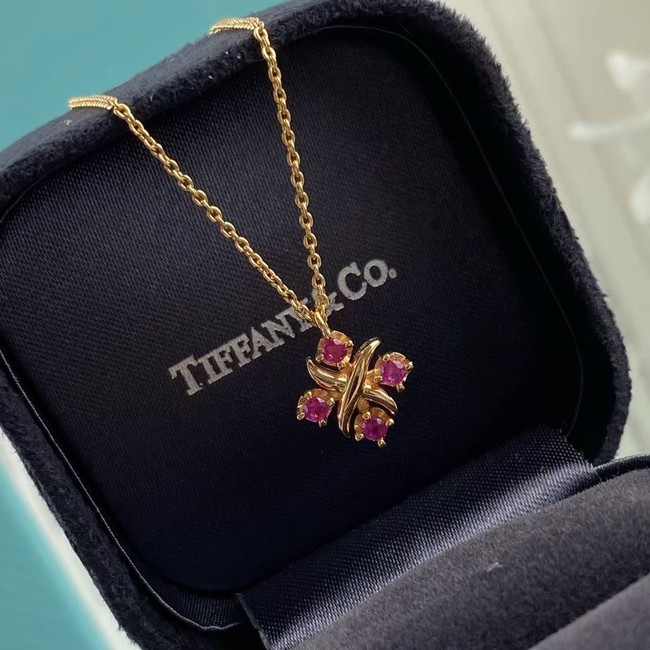 TIFFANY Necklace CE6764