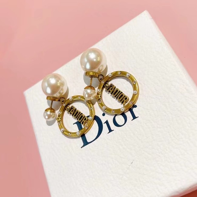 Dior Earrings CE6782
