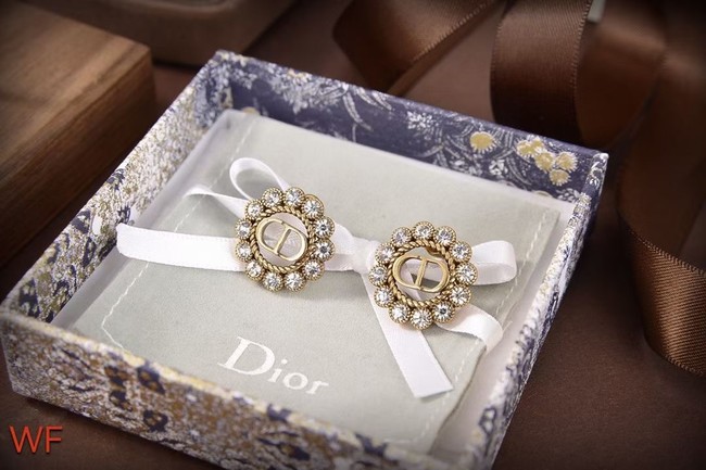 Dior Earrings CE6831