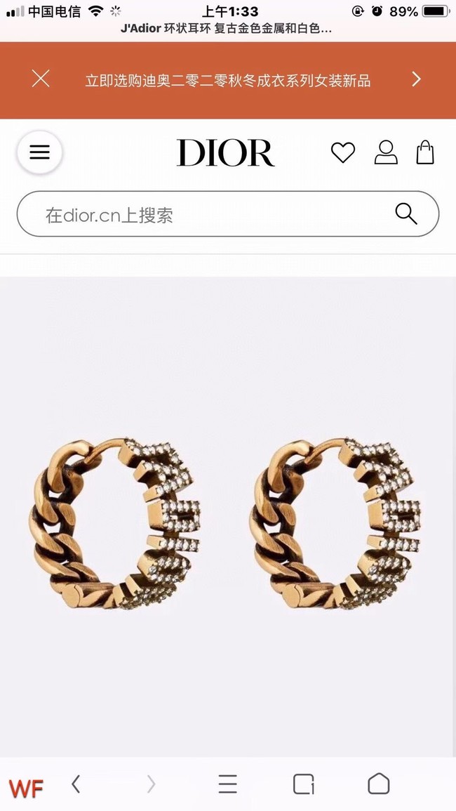 Dior Earrings CE6833