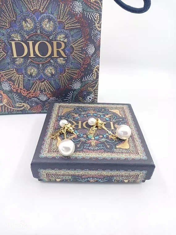 Dior Earrings CE6839