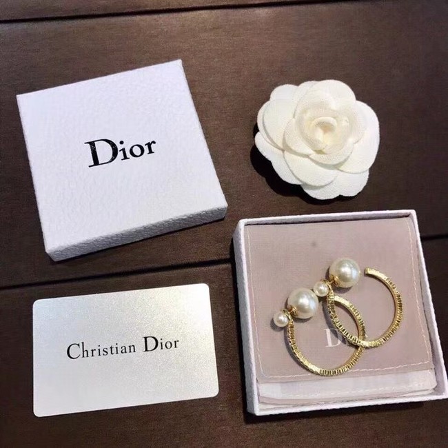 Dior Earrings CE6842