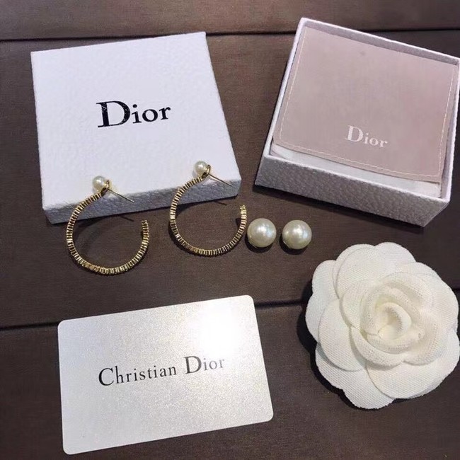 Dior Earrings CE6842