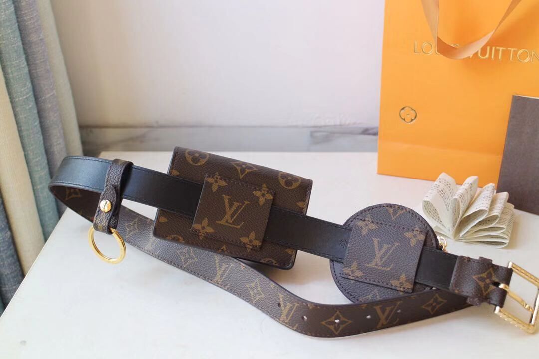 Louis Vuitton Original BELTBAG M0253Y brown