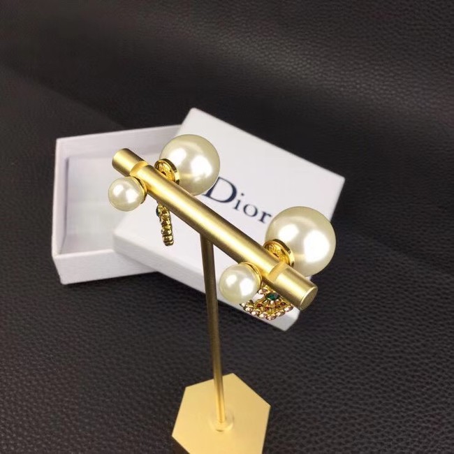 Dior Earrings CE6851