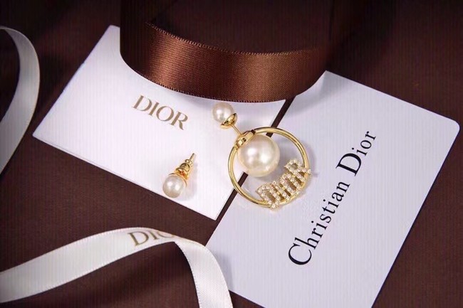 Dior Earrings CE6853