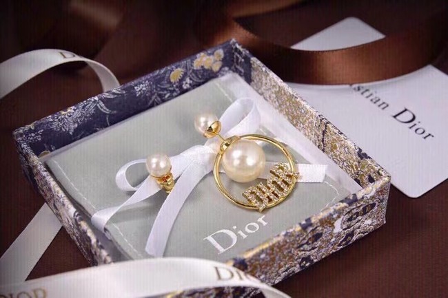 Dior Earrings CE6853