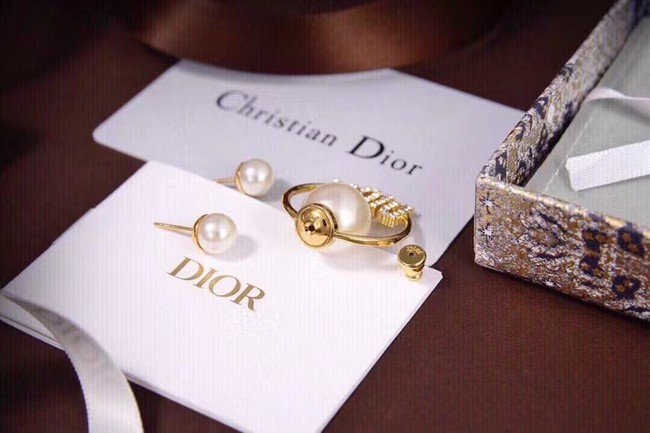 Dior Earrings CE6853