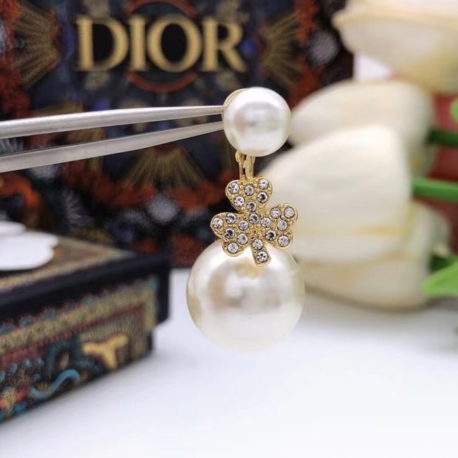 Dior Earrings CE6857