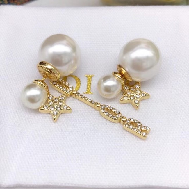 Dior Earrings CE6859