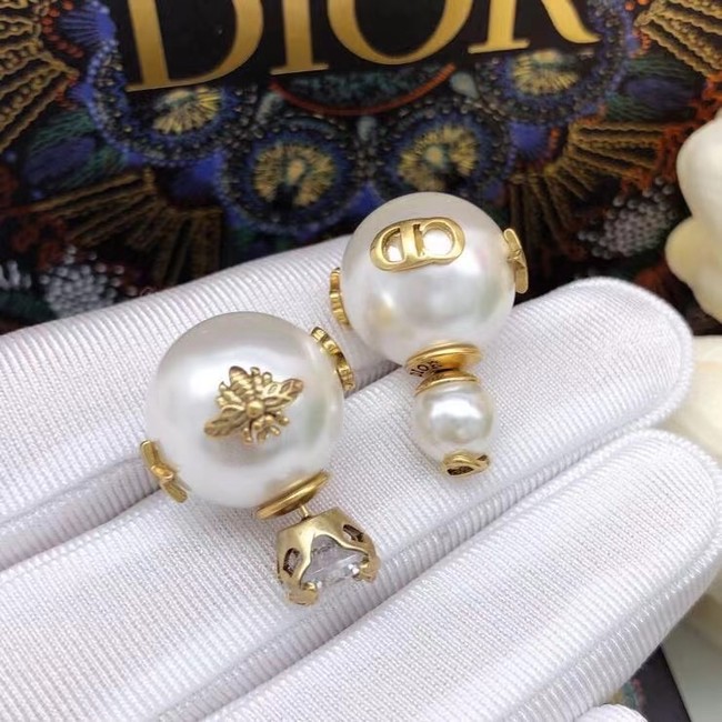 Dior Earrings CE6860