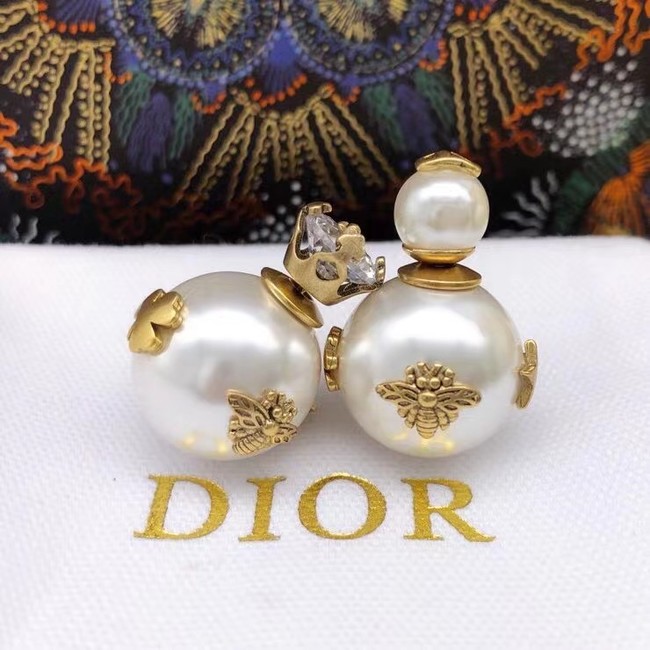 Dior Earrings CE6860