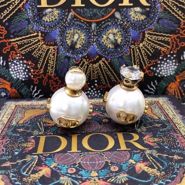 Dior Earrings CE6860