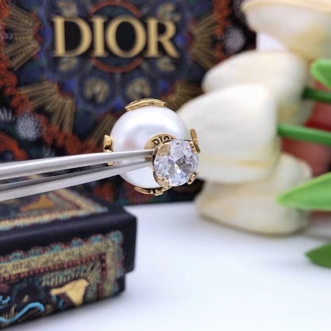 Dior Earrings CE6860