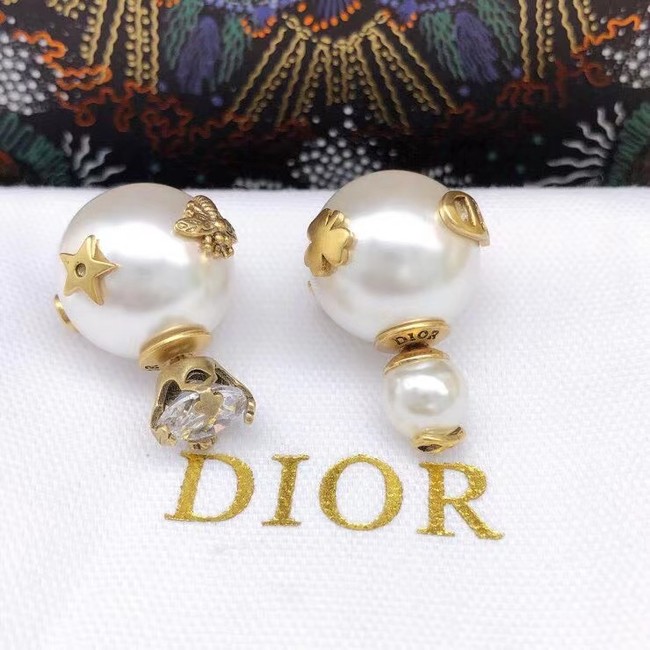 Dior Earrings CE6860