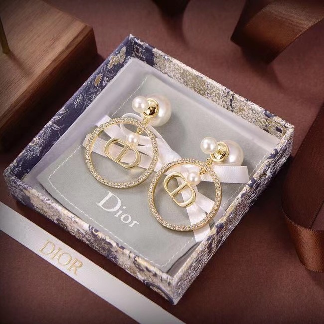 Dior Earrings CE6881