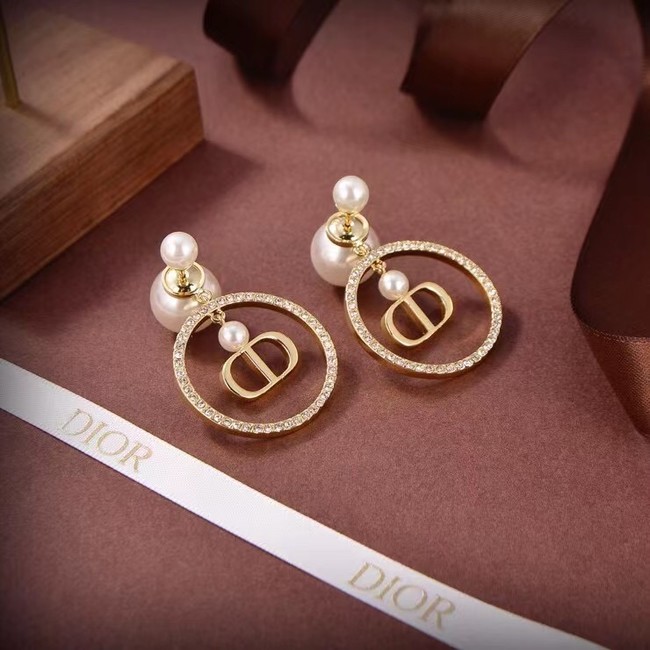 Dior Earrings CE6881