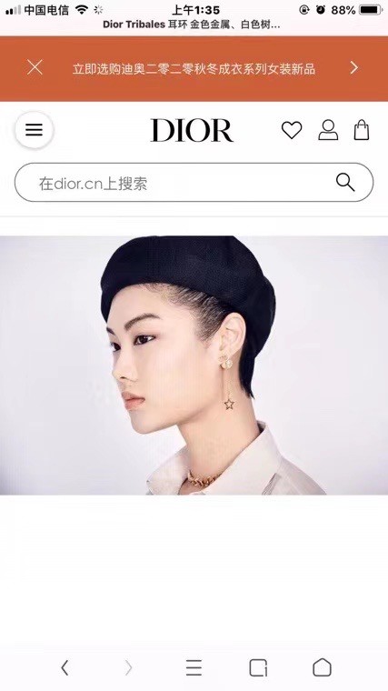 Dior Earrings CE6882