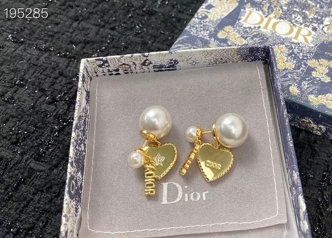Dior Earrings CE6891