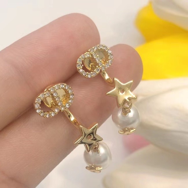 Dior Earrings CE6927