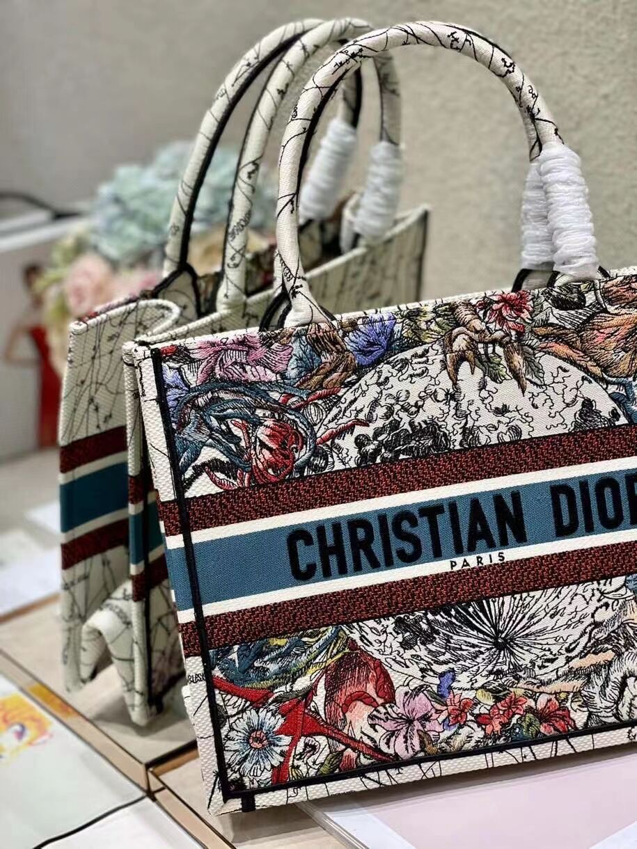 DIOR BOOK TOTE Latte Multicolor Dior Constellation Embroidery M1296Z