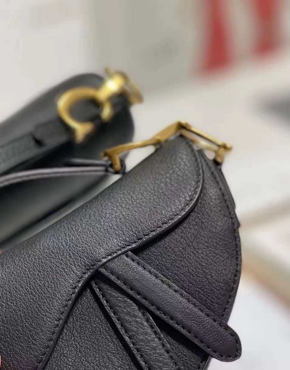 DIOR SADDLE BAG mini Goatskin C8160 black