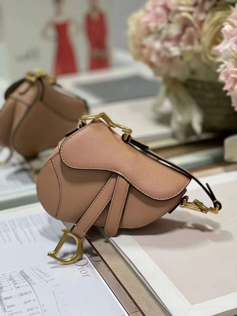 DIOR SADDLE BAG mini Calfskin C8160 pink