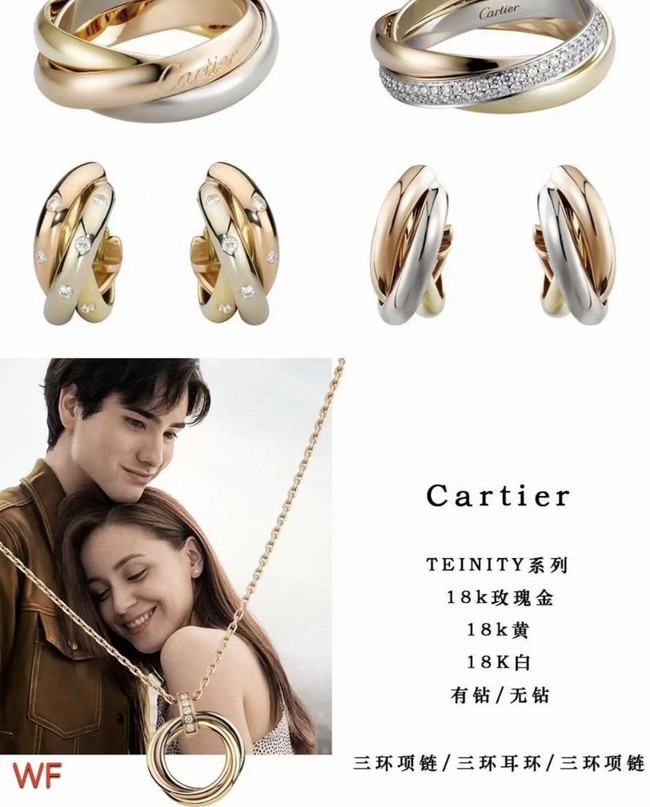 Cartier Necklace CE6972