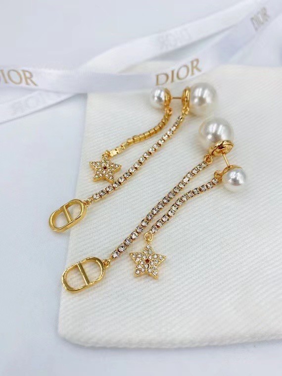 Dior Earrings CE6975